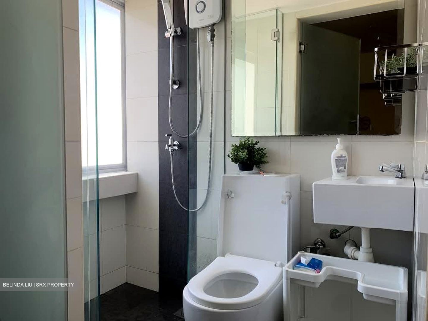Lucky Plaza (D9), Apartment #595231701